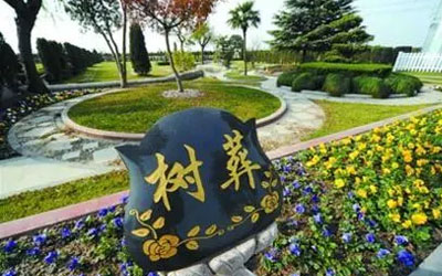 树葬是怎么来的？