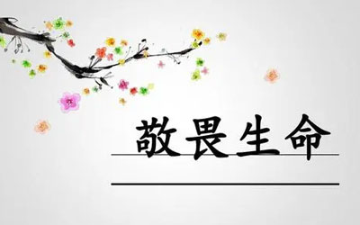 不尊重死亡的人，不懂得敬畏生命!