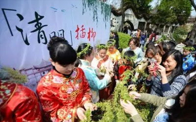 您对于清明节插柳这一习俗了解多少呢？
