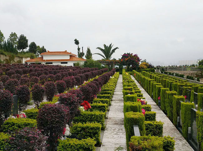 陵园公墓和阳宅一样需要有良好的光照条件