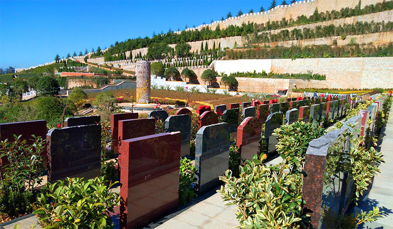 公墓信息网 你知道吗即使是公墓也是需要阳光照射的