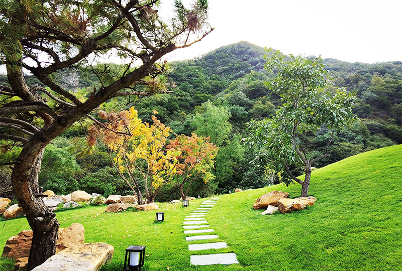 公墓信息网整理提供 如果要在陵园公墓里种树是有很多讲究的