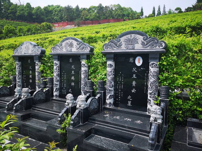 为什么要提前为健在老人购买福地