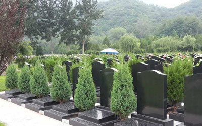 公墓安装骨灰要注意哪些事项,公墓信息网认为这几点很重要