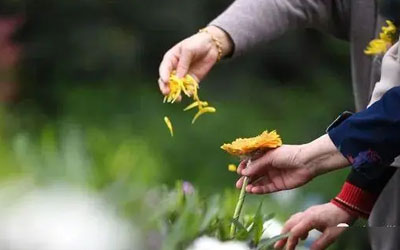 公墓信息网为您讲述殡葬现在的现象