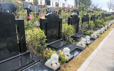 公墓信息网相信依山傍水的宝地都是好风水