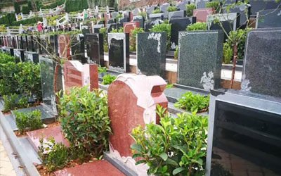 墓地是福泽绵长的风水地带