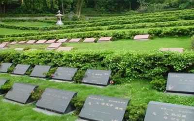 公墓陵园墓地为什么要设使用期限