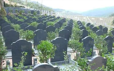 公墓信息网告诉你扫墓有什么注意事项