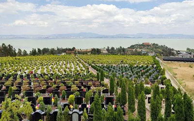 90%的人不清楚过了墓地使用期不及时续费,骨灰盒是否会被扔掉,进来一看便知