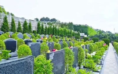 在城市中墓地行业的发展存在什么问题