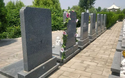 植物对墓地风水有何影响,植物与墓地风水的关系