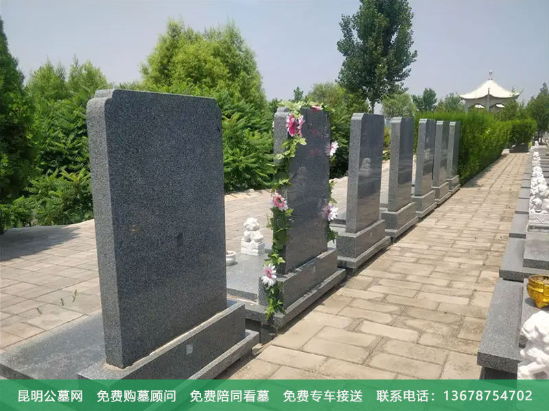 植物对墓地风水有何影响,植物与墓地风水的关系 植物对墓地风水有何影响,植物与墓地风水的关系