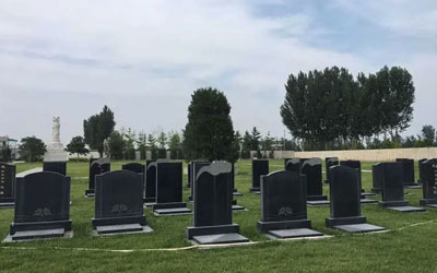 坟墓附近有树对墓地风水好吗,听听公墓信息网墓地风水师怎么说