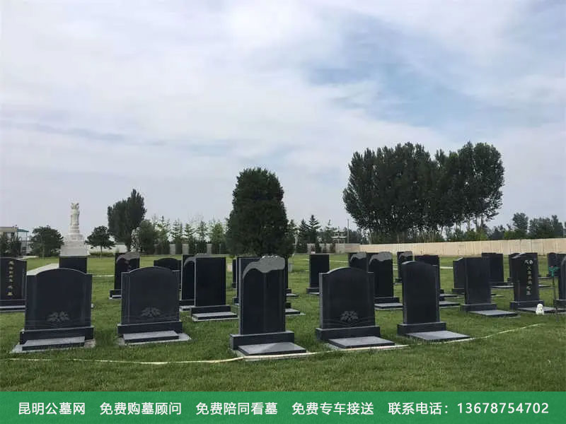 坟墓附近有树对墓地风水好吗,听听墓地风水师怎么说 坟墓附近有树对墓地风水好吗,听听墓地风水师怎么说