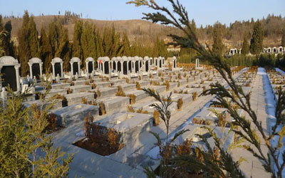 迁移祖坟需要注意哪些要点,听听公墓信息网墓地风水师的分析