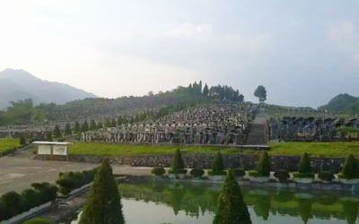 墓地长草是好是坏,会不会影响到墓地的风水