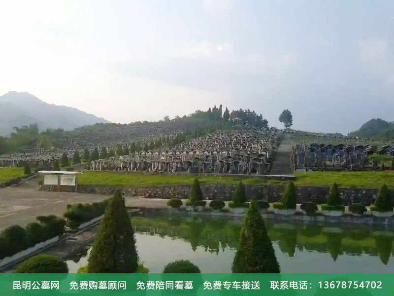 墓地长草是好是坏,会不会影响到墓地的风水? 墓地长草是好是坏,会不会影响到墓地的风水?