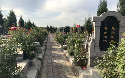 为什么购买了公墓墓地还要交管理费