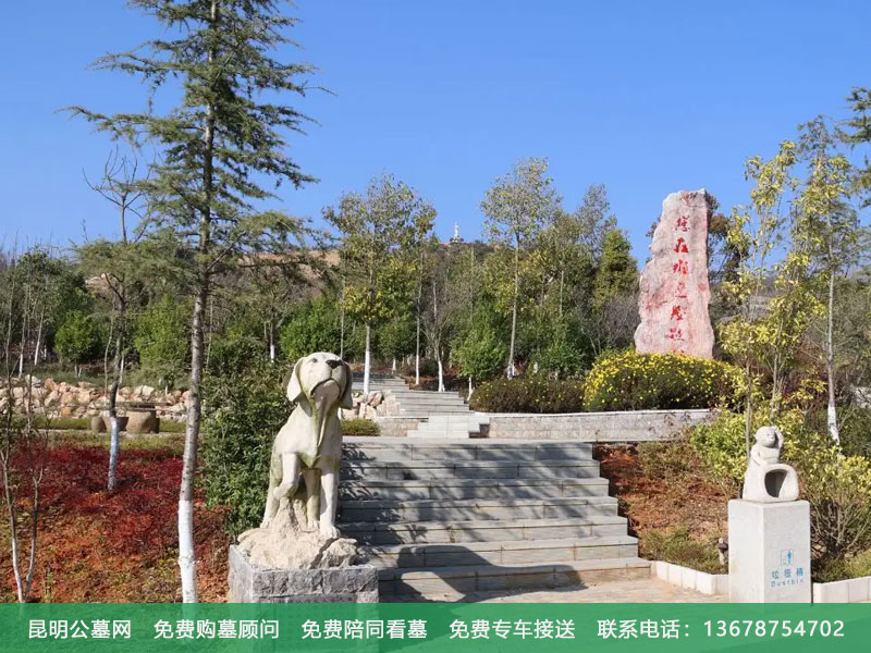 青龙园公墓与其他公墓相比有何独特之处 青龙园公墓与其他公墓相比有何独特之处