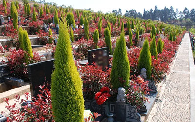 怎样的公墓才算是理想的风水宝地