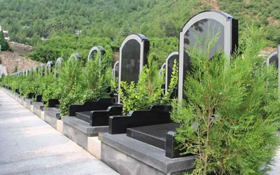 昆明青龙艺术陵园风水如何看,怎样从风水学角度选择陵园