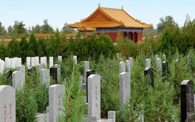 去墓地后得了癔病怎么办？