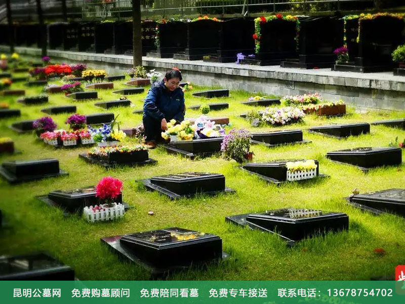 扫墓服务 扫墓服务