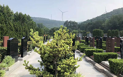 陵园起着什么样的作用