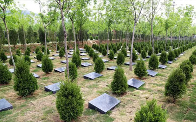 迁坟流程及讲究,迁坟需要注意哪些事情