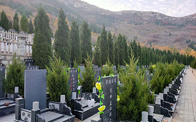 陵园的绿化