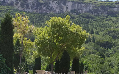 墓地风水，迁坟对后代的影响有哪些