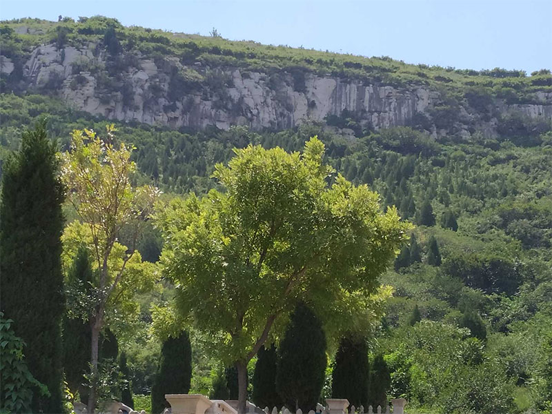 墓地风水，迁坟对后代的影响有哪些
