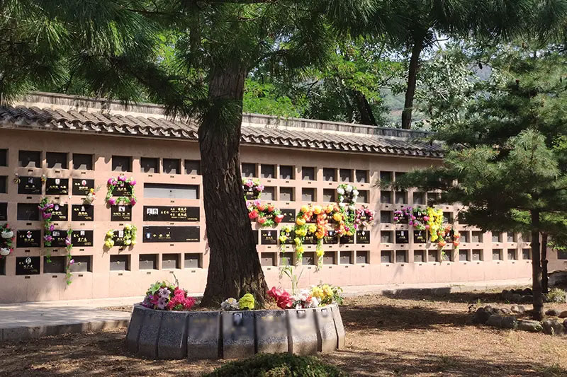 什么是壁葬 什么是壁葬