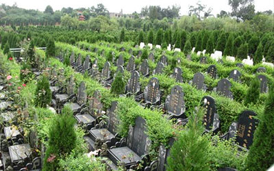 公墓信息网都能为您提供哪些服务