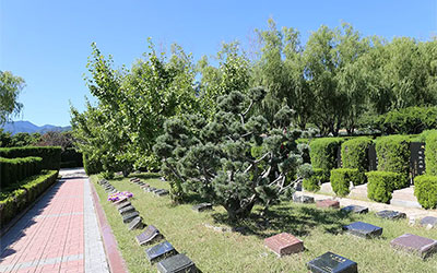 公墓信息网网带您了解各国生态葬