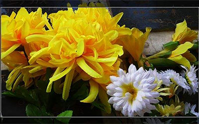 落葬吉日的讲究都有哪些