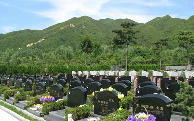 昆明陵园公墓植物的讲究