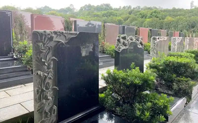 公墓使用年限只有20年,如果子孙不续费,会有啥后果？