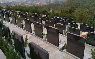 新坟三年不能动土是指哪的土,为什么三年内不能迁坟