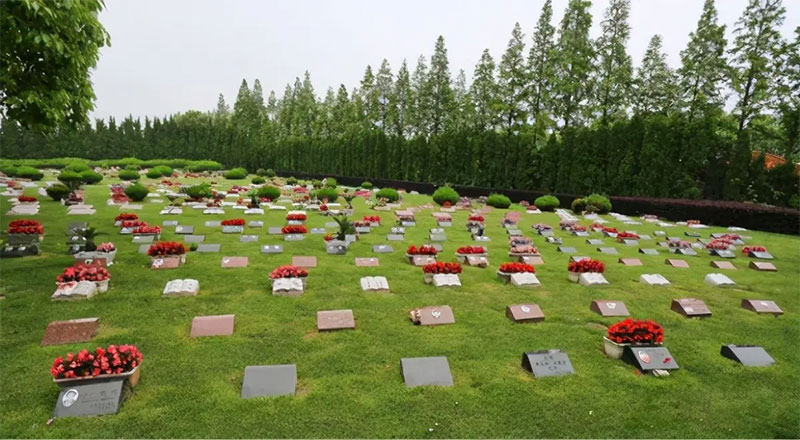 生态草坪葬 生态草坪葬