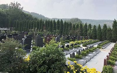 公墓信息网服务怎么样