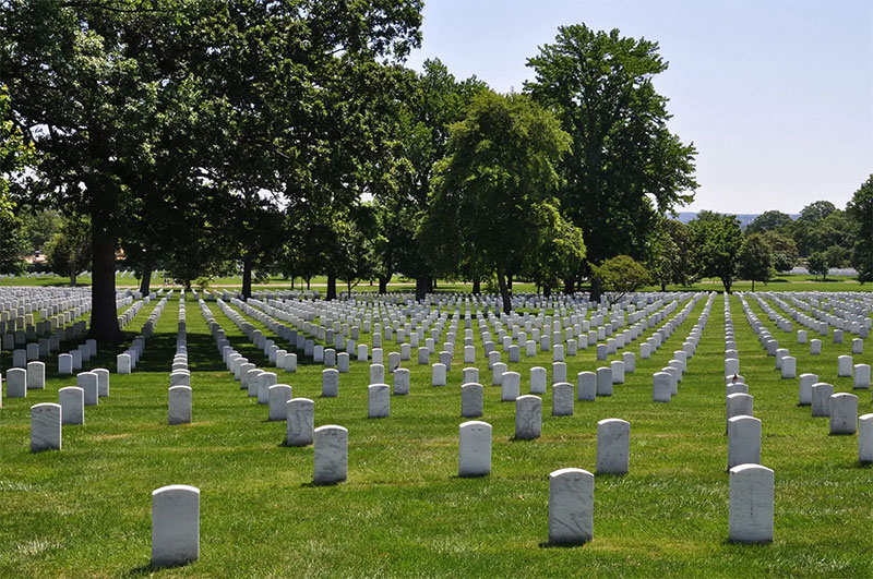 墓地本身给人的感受更多来自景观的状况 墓地本身给人的感受更多来自景观的状况