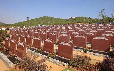 现在迁坟费用多少钱一个坟头?迁坟的时候孙子要不要去?