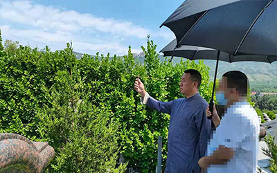 昆明迁坟分几种情况