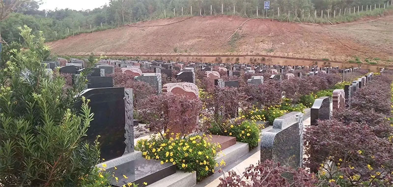 阴宅风水怎么看