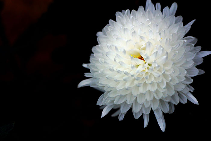 祭祀的意义 祭祀的意义