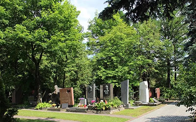 云南公墓中植物的选择都有哪些讲究