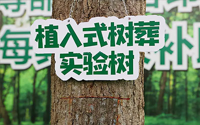 树葬作为殡葬的一种新形式，有哪些优点呢