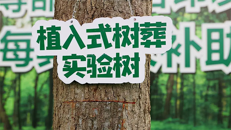 树葬,殡葬新形式